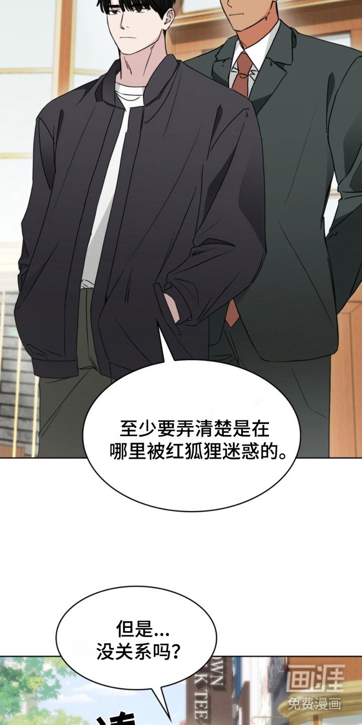 第4章：狐狸