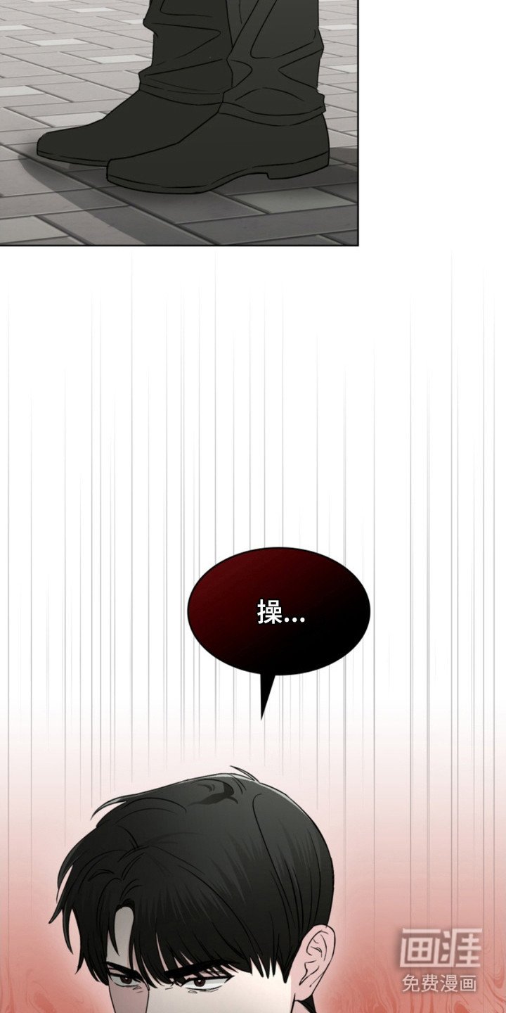 第4章：狐狸
