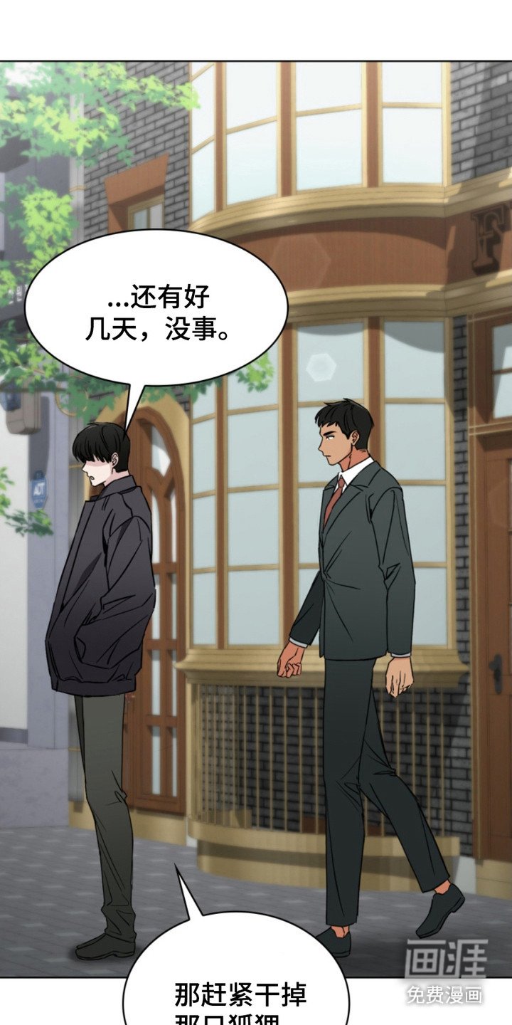 第4章：狐狸