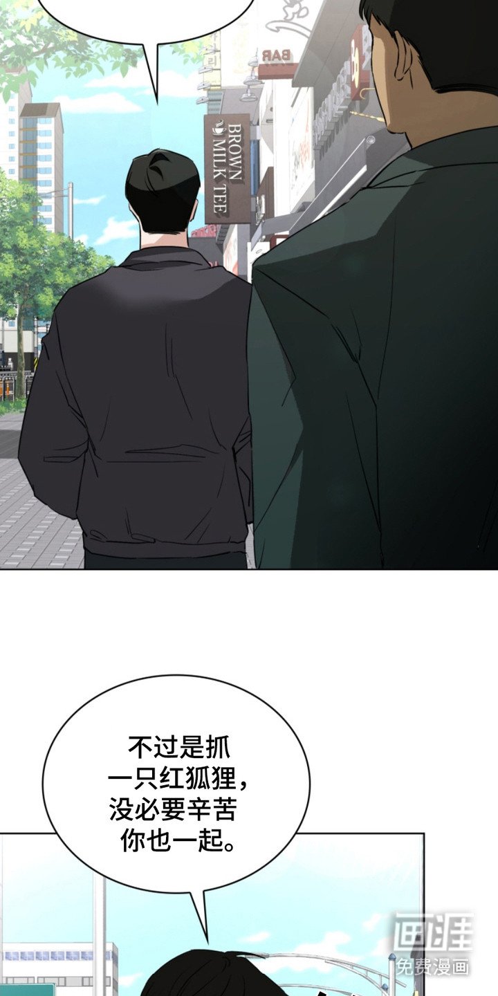 第4章：狐狸