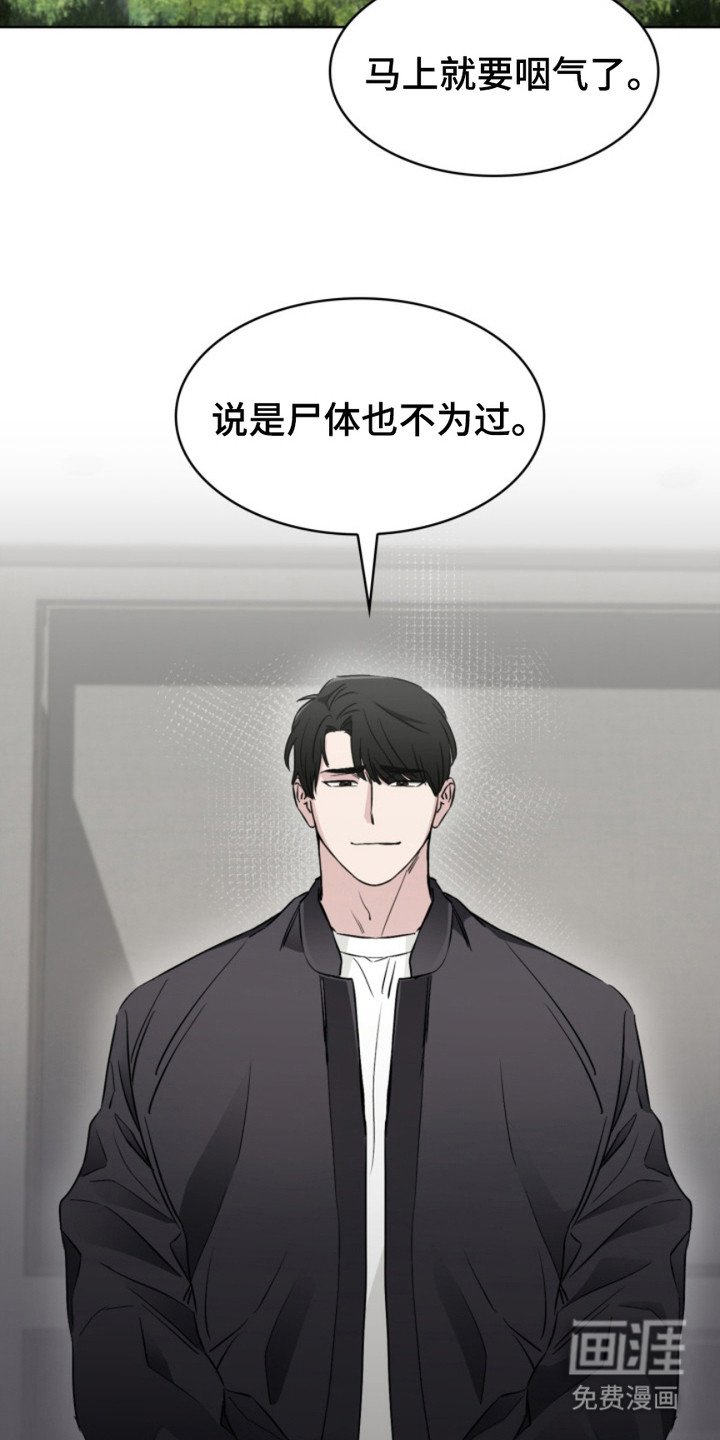第4章：狐狸