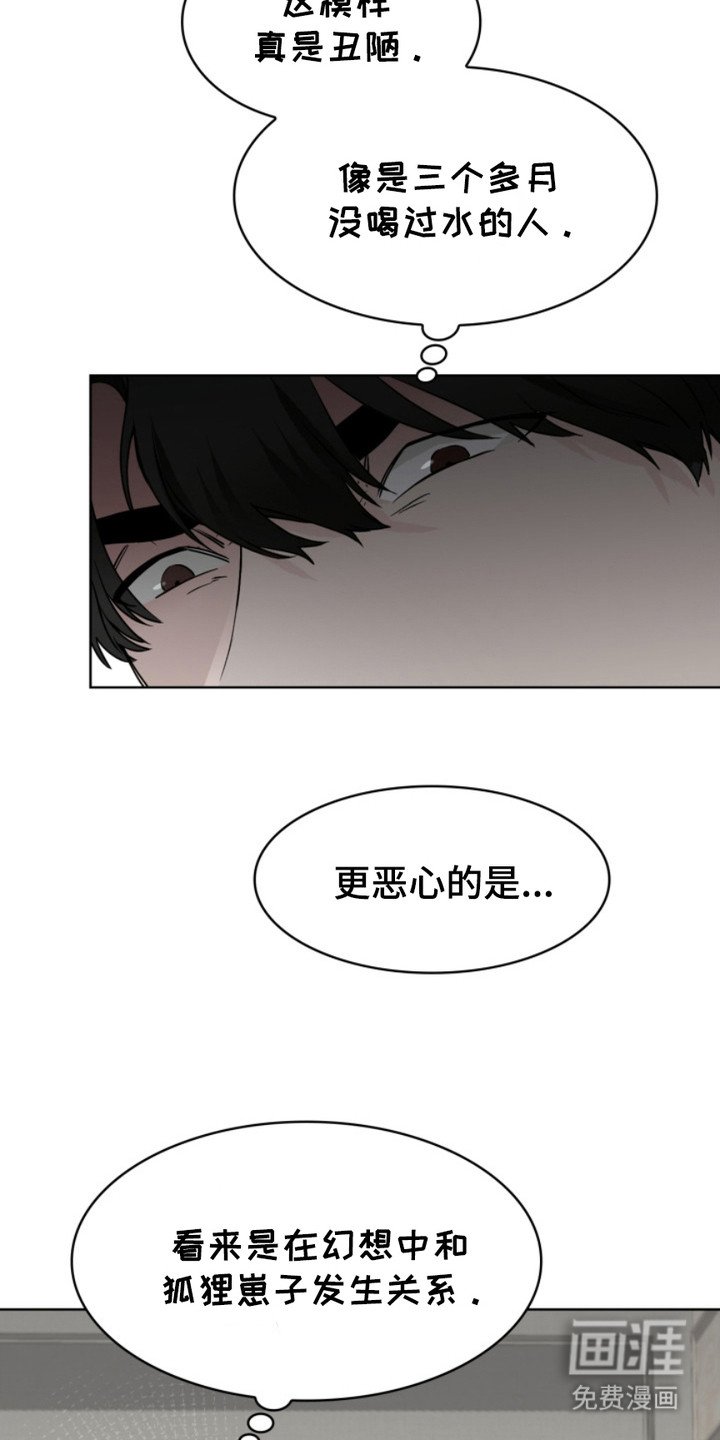 第4章：狐狸