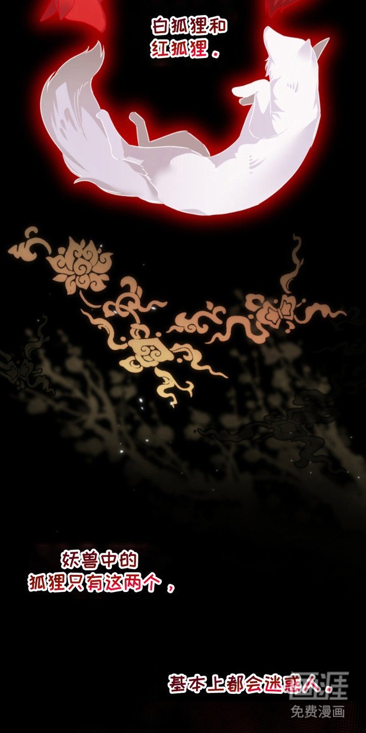 第4章：狐狸