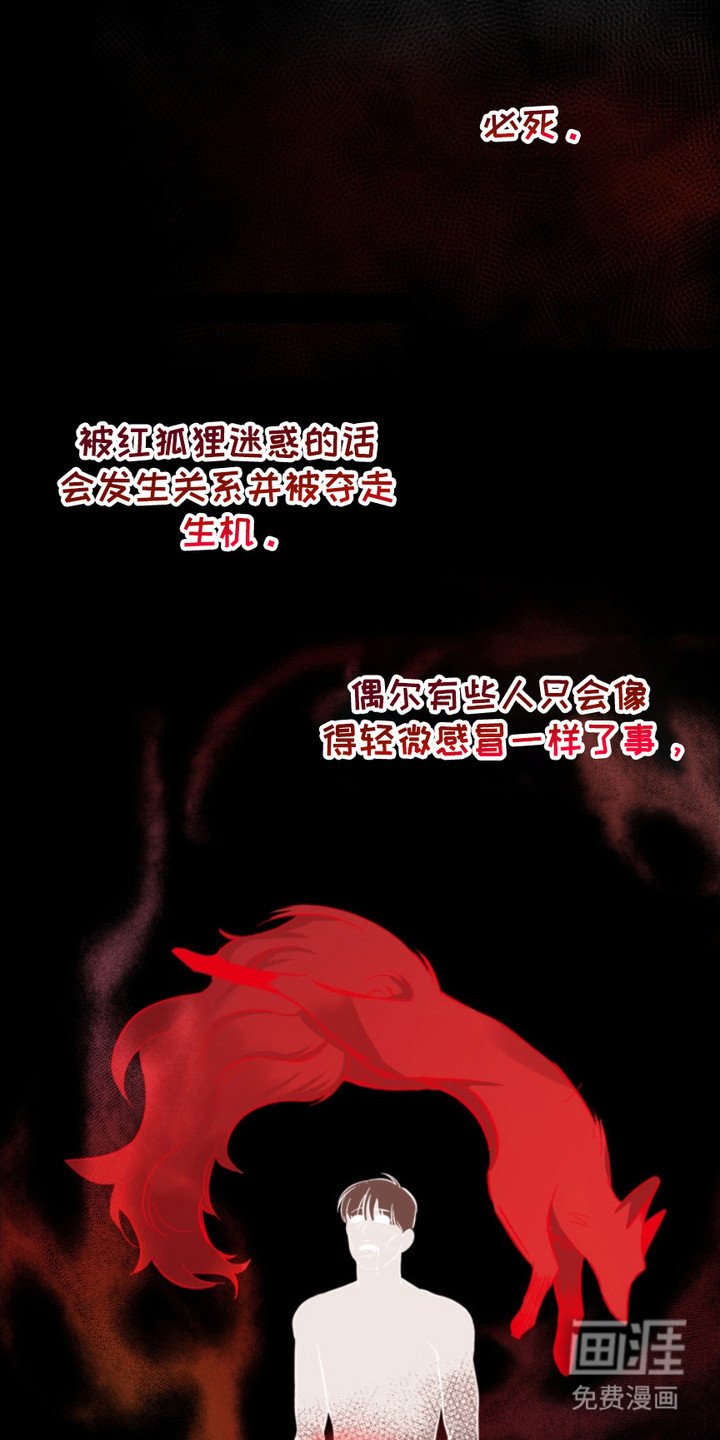 第4章：狐狸