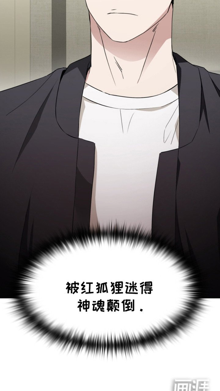 第4章：狐狸