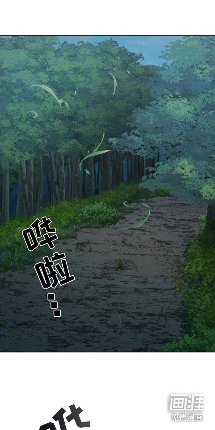 第6章：诅咒