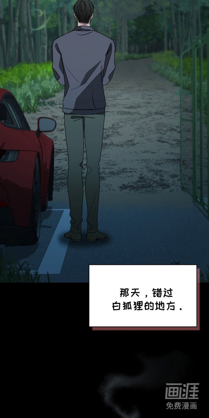 第6章：诅咒