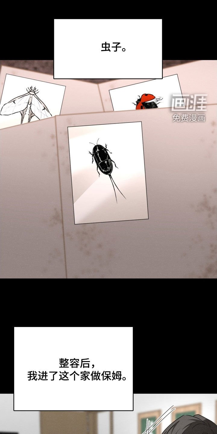 第79章：死亡是一种慈悲