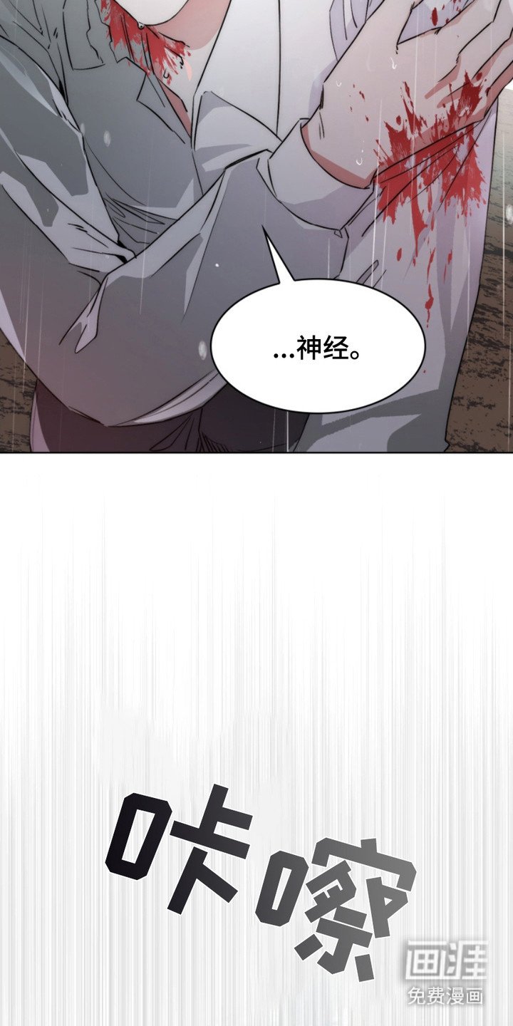 第8章：追逐