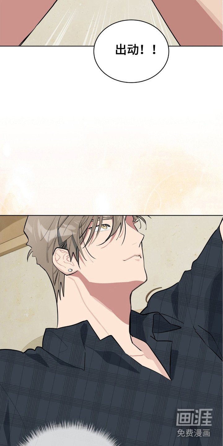 第14章：鉴别师出动