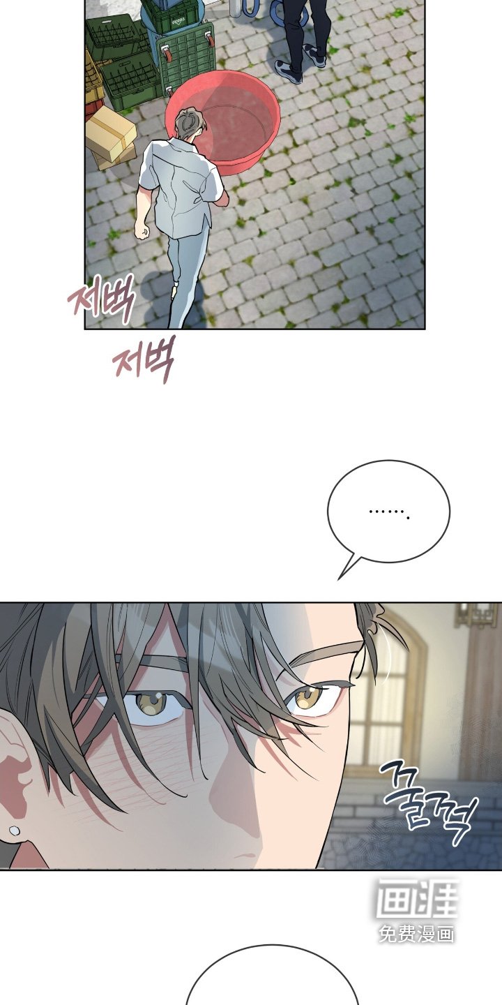 第28章：凭什么