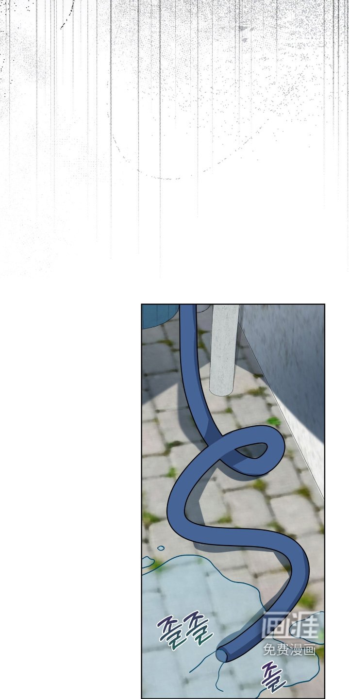 第29章：是不是喜欢我