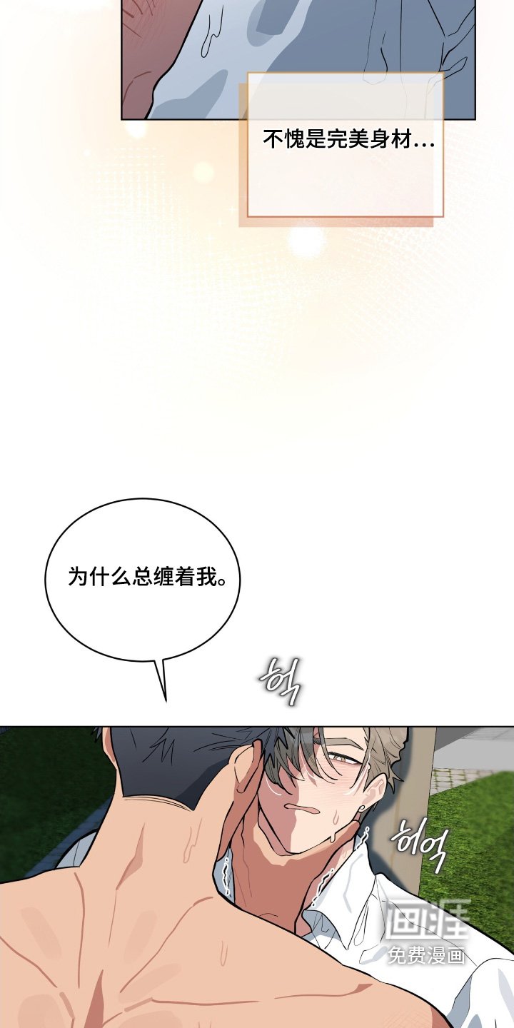 第29章：是不是喜欢我