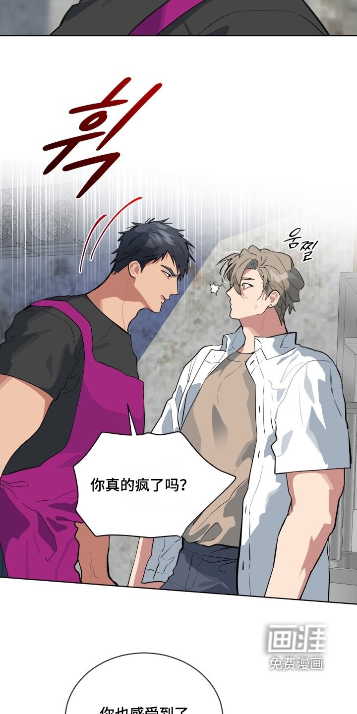 第39章：我们聊聊