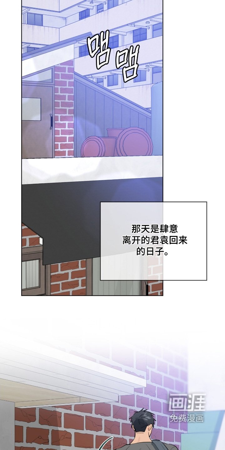 第44章：回来了