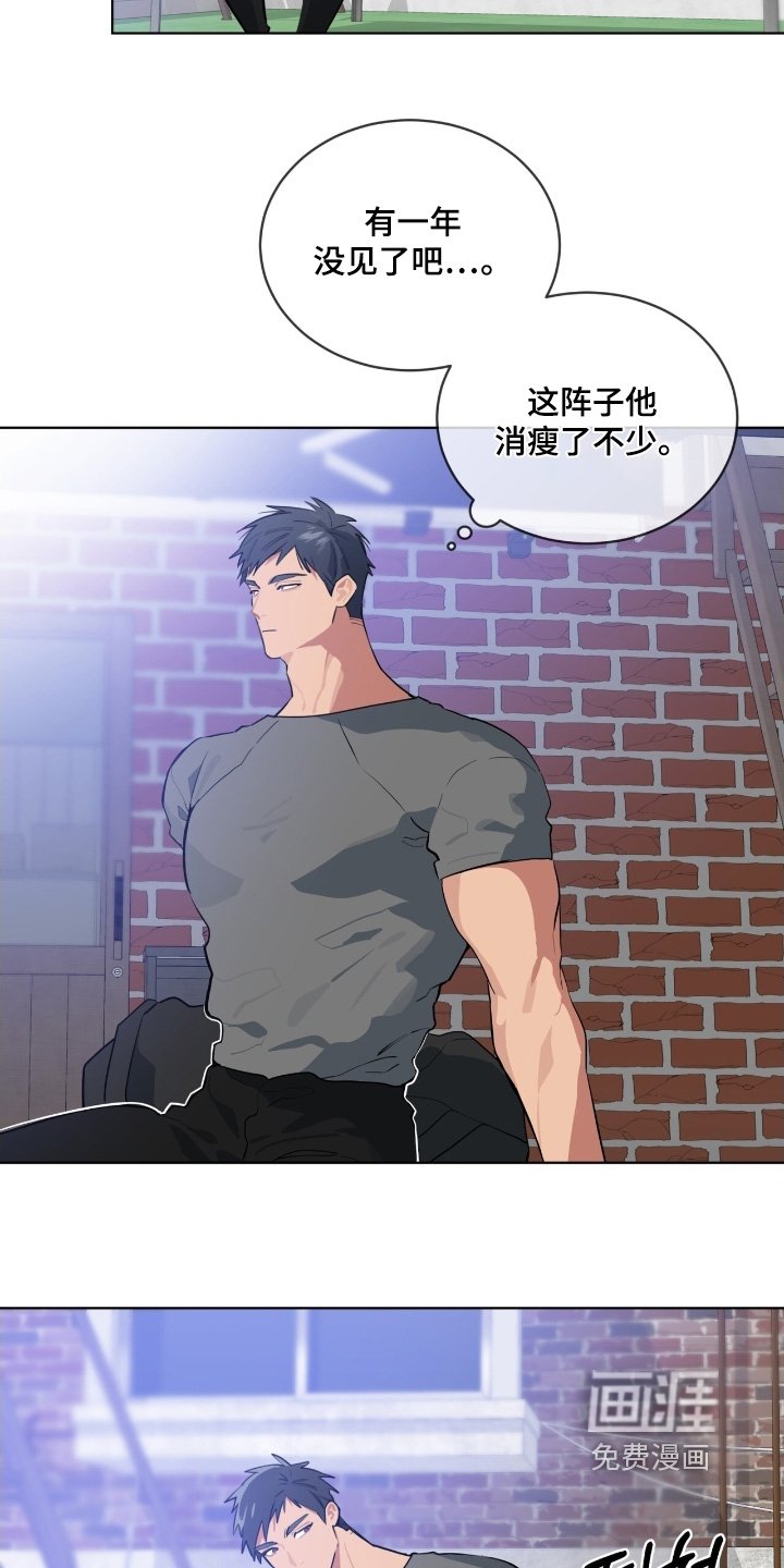 第44章：回来了