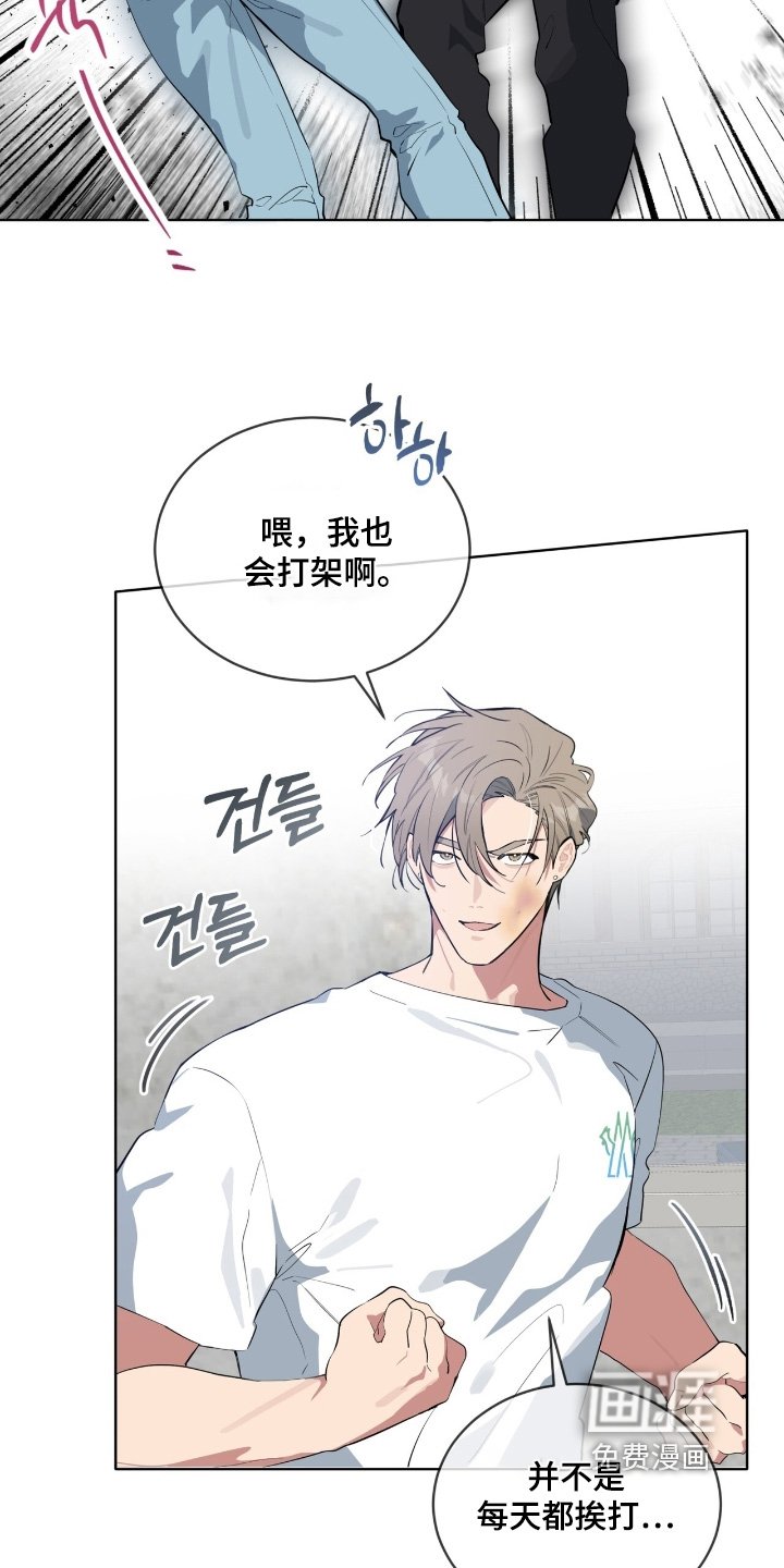 第54章：你的结论