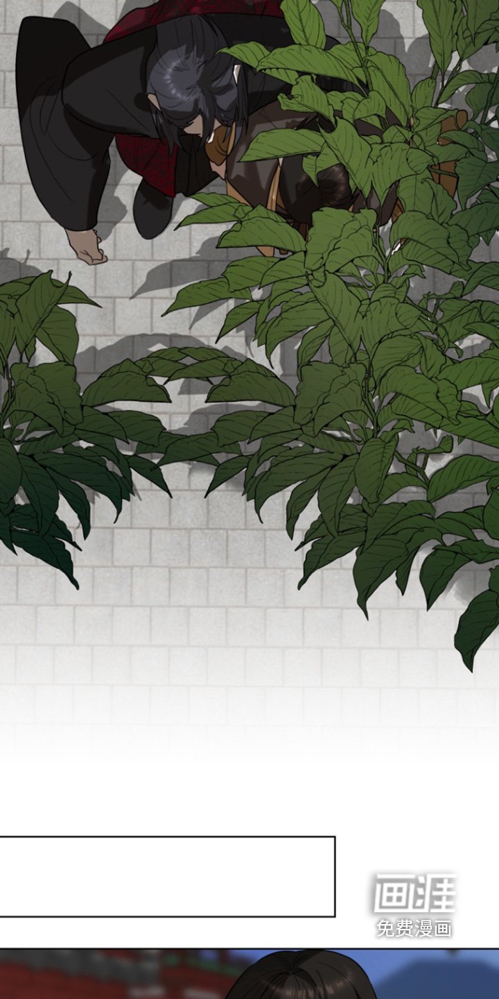 第19章：能力