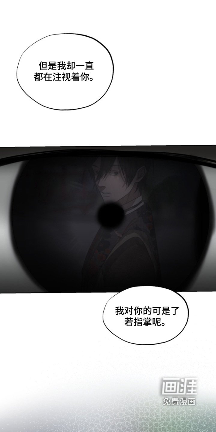 第19章：能力
