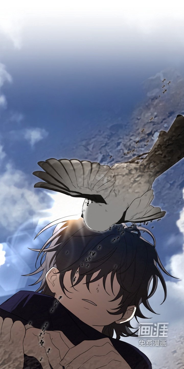 第40章：诅咒