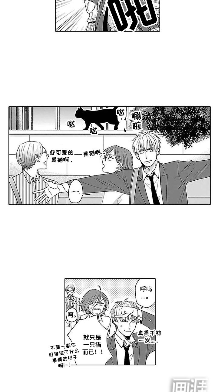第16章：渐渐喜欢上