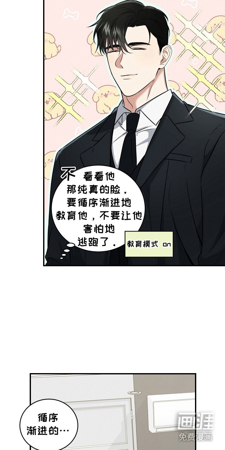 第2章：新手