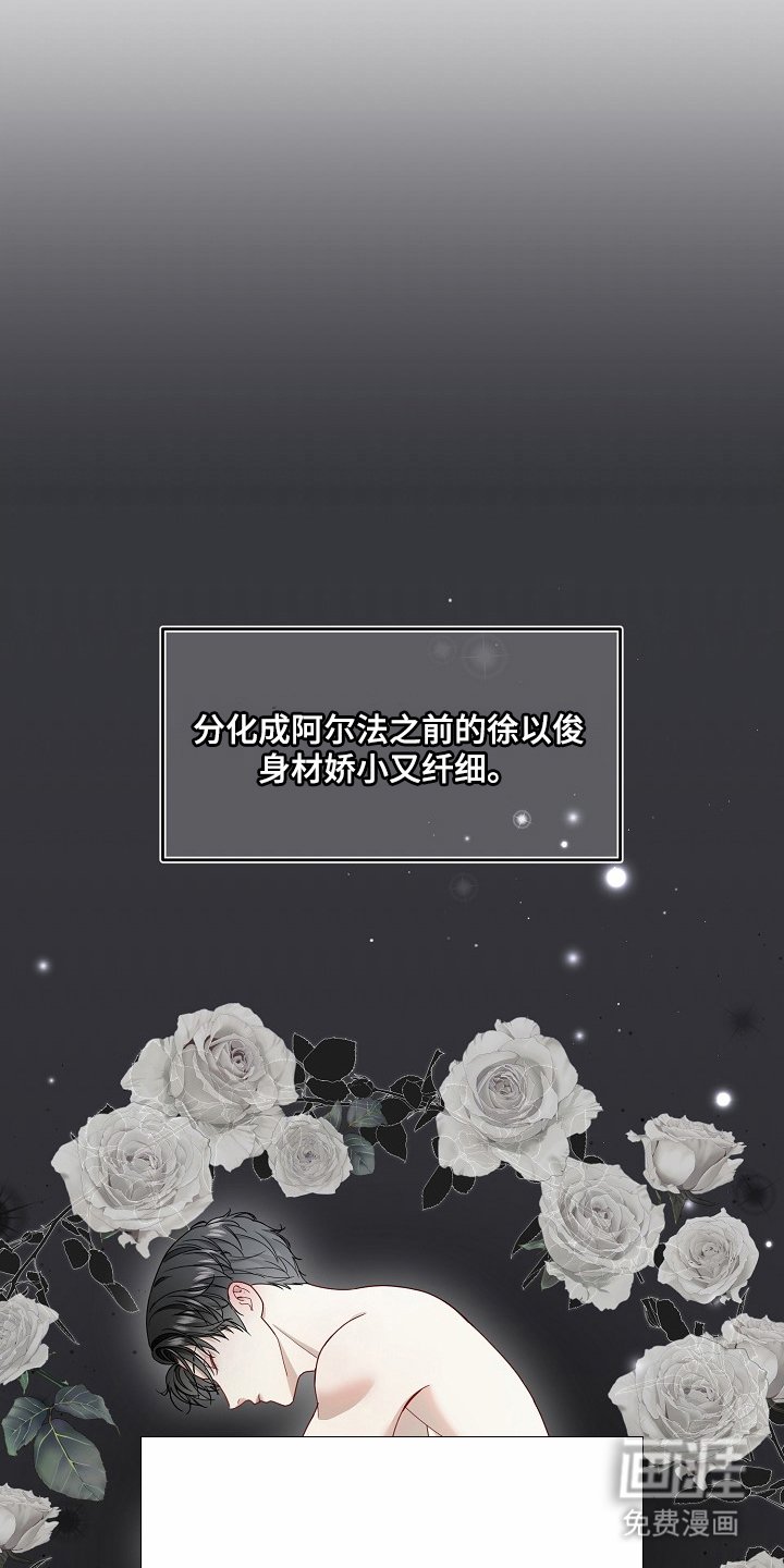 第1章：名字