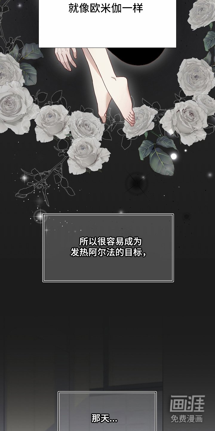第1章：名字
