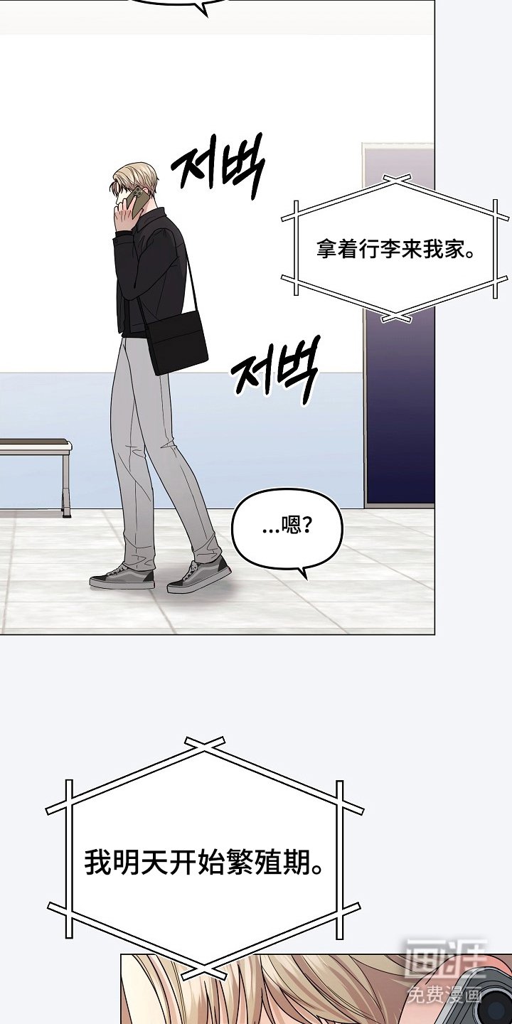第8章：繁衍期
