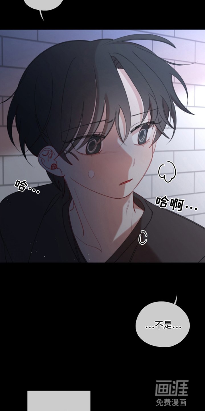 第12章：真正想要的