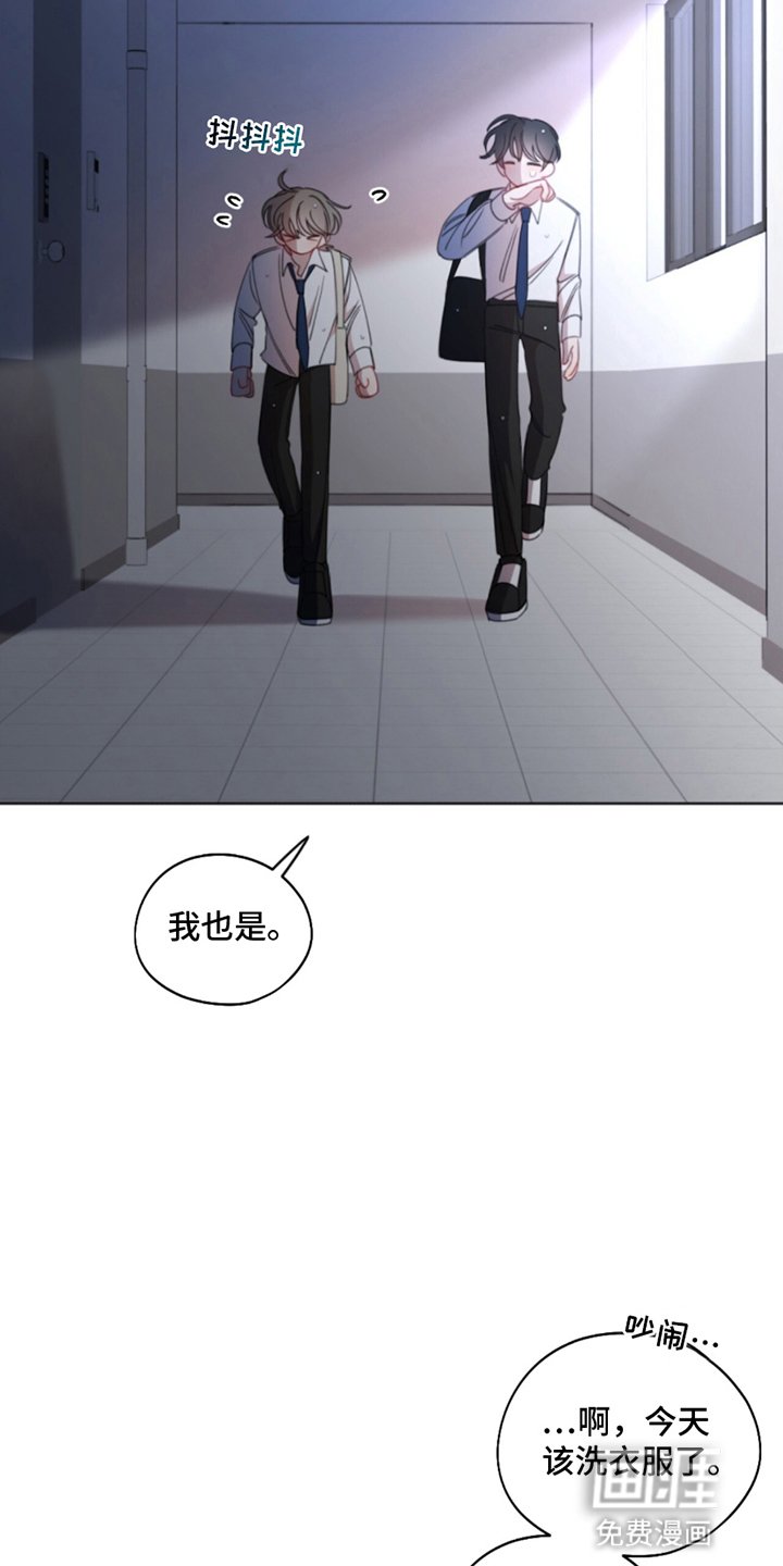第12章：真正想要的