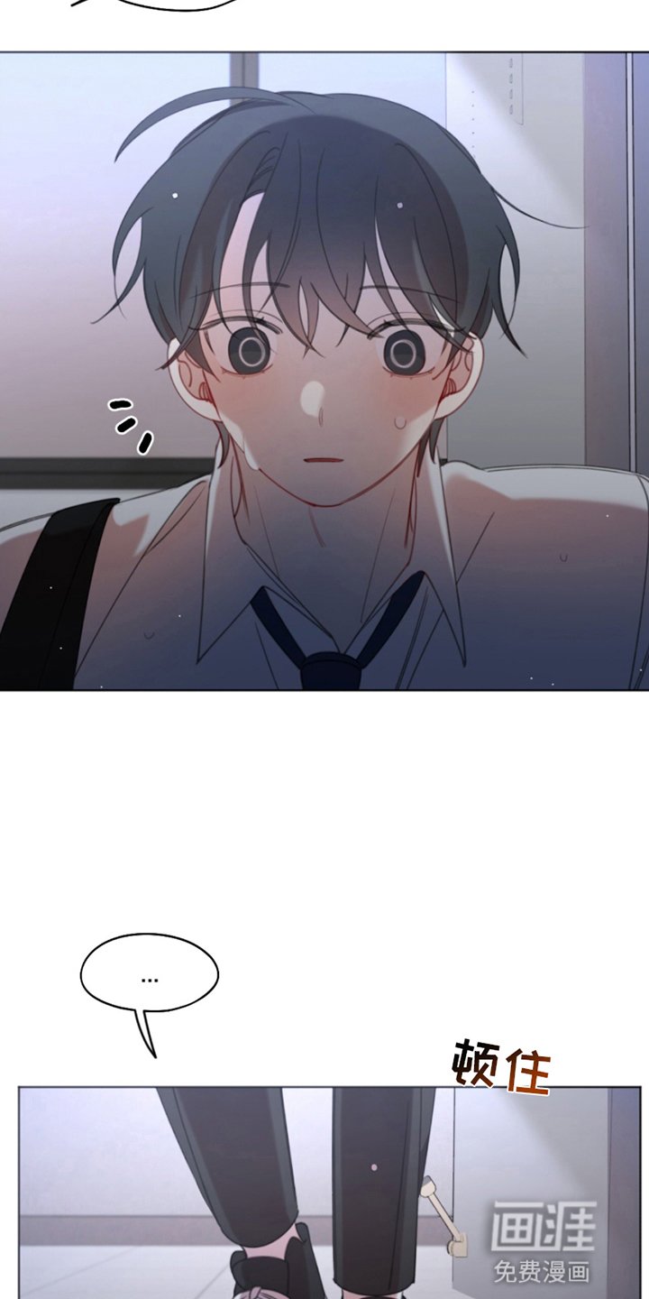 第12章：真正想要的