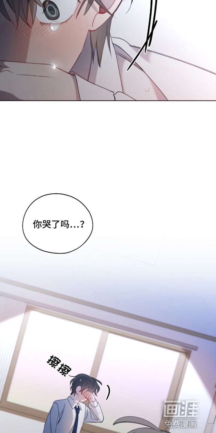 第15章：都是他的错