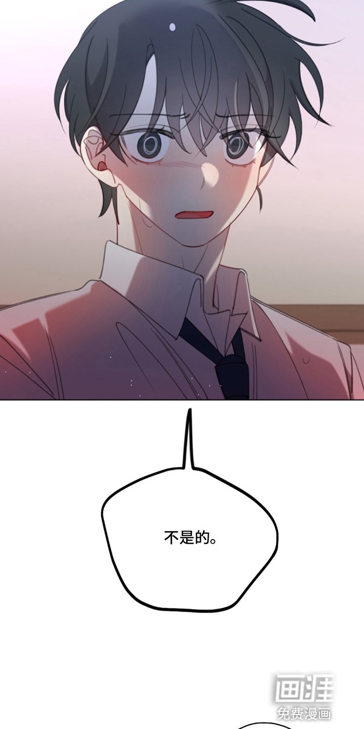 第15章：都是他的错