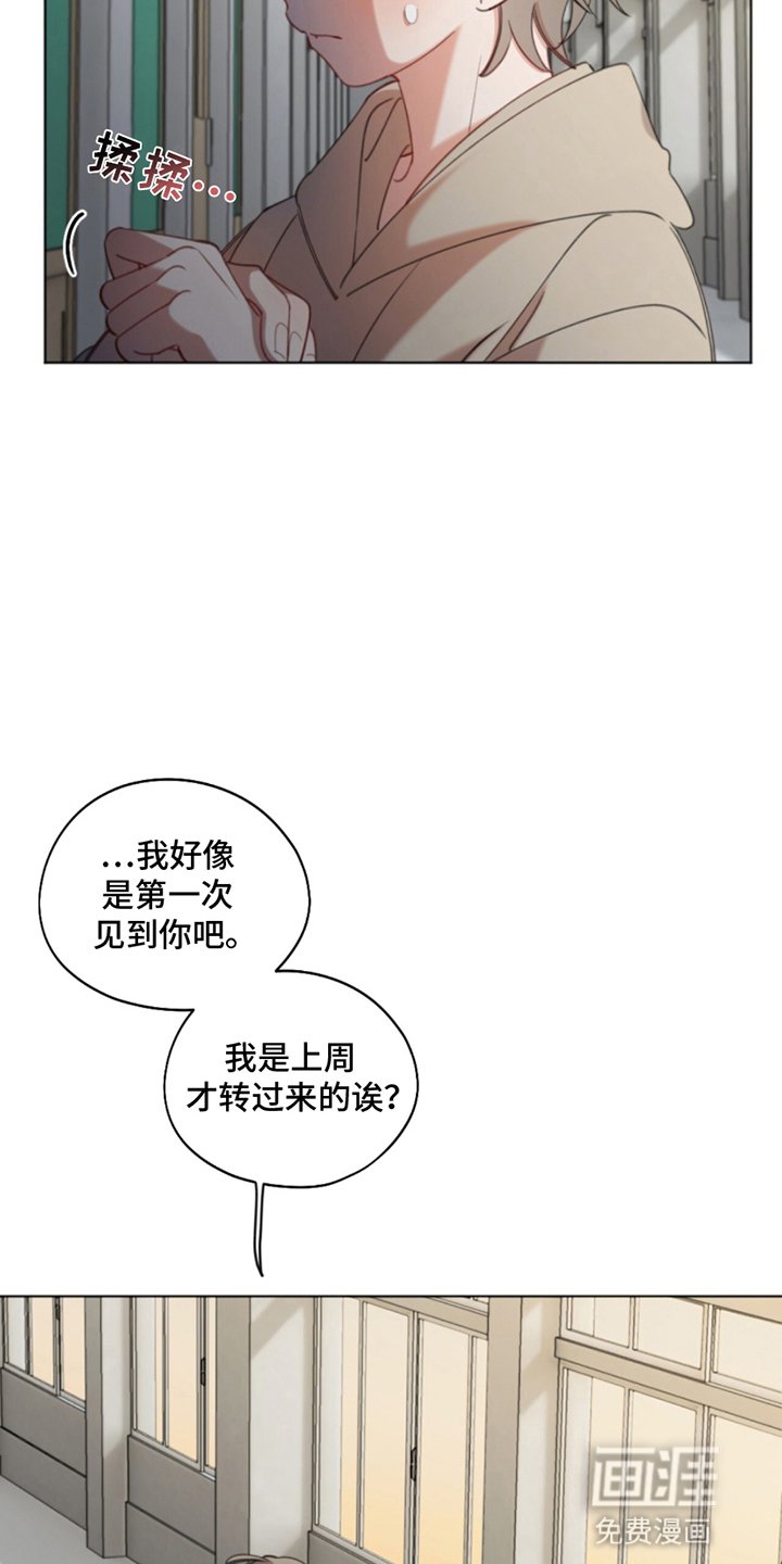 第2章：厌恶