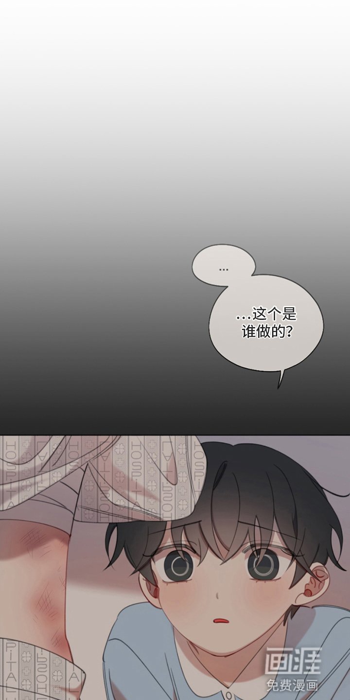 第2章：厌恶