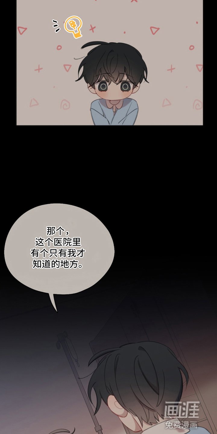 第2章：厌恶