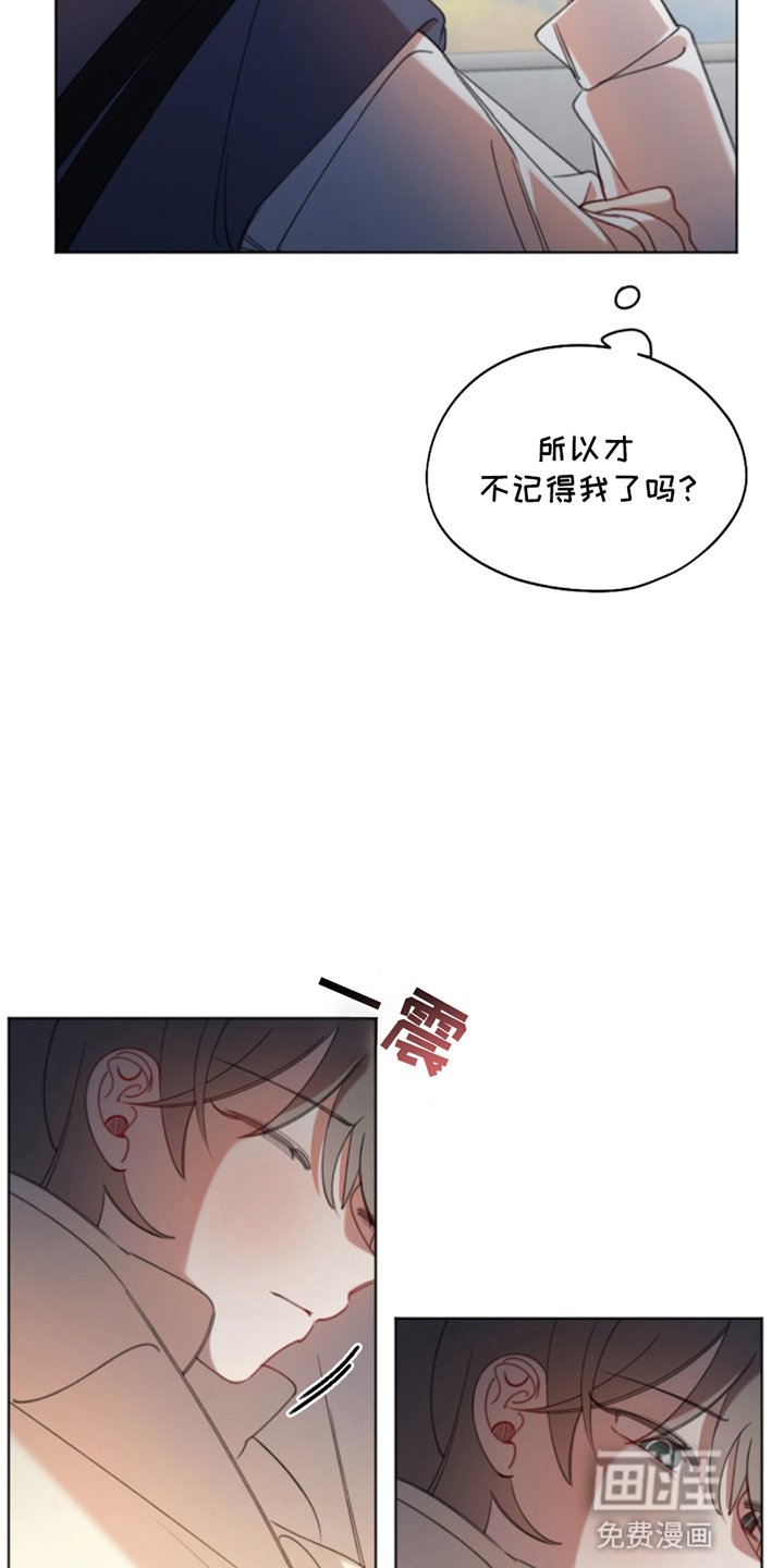 第2章：厌恶