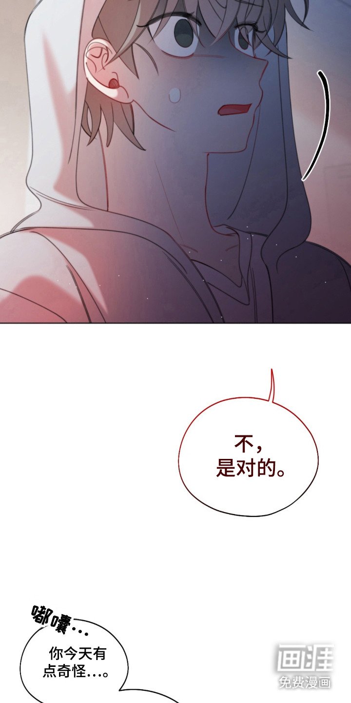第23章：噩梦回忆