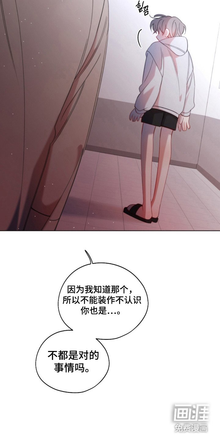 第24章：爱的沉重