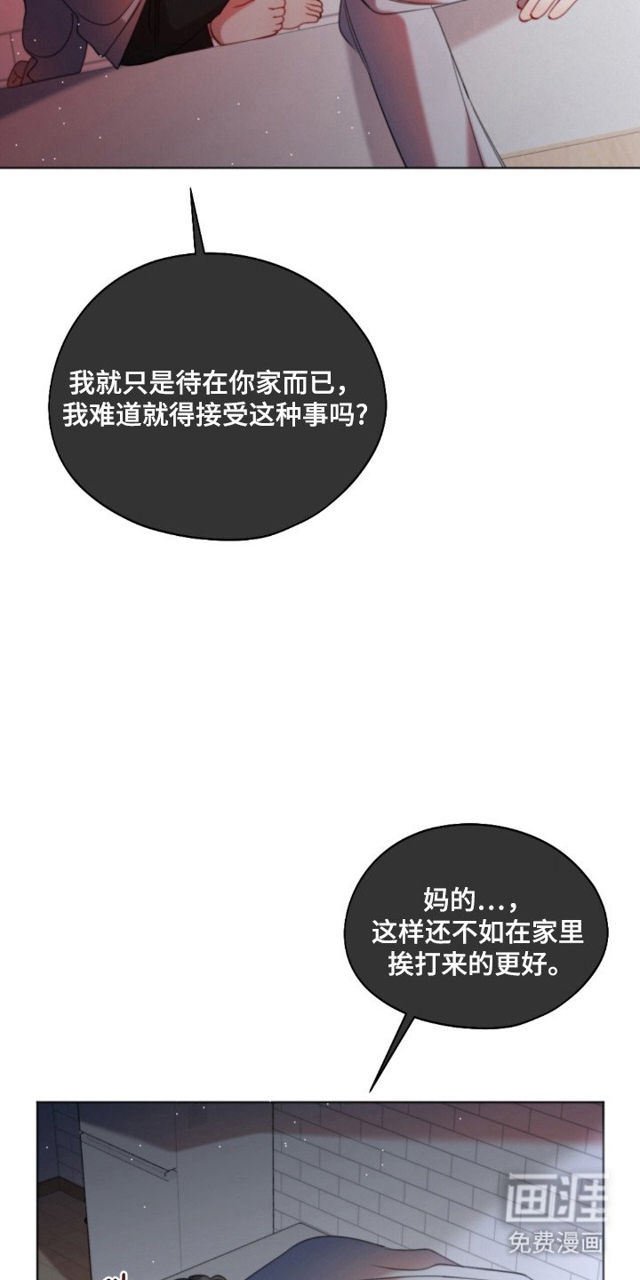 第27章：爱的心意