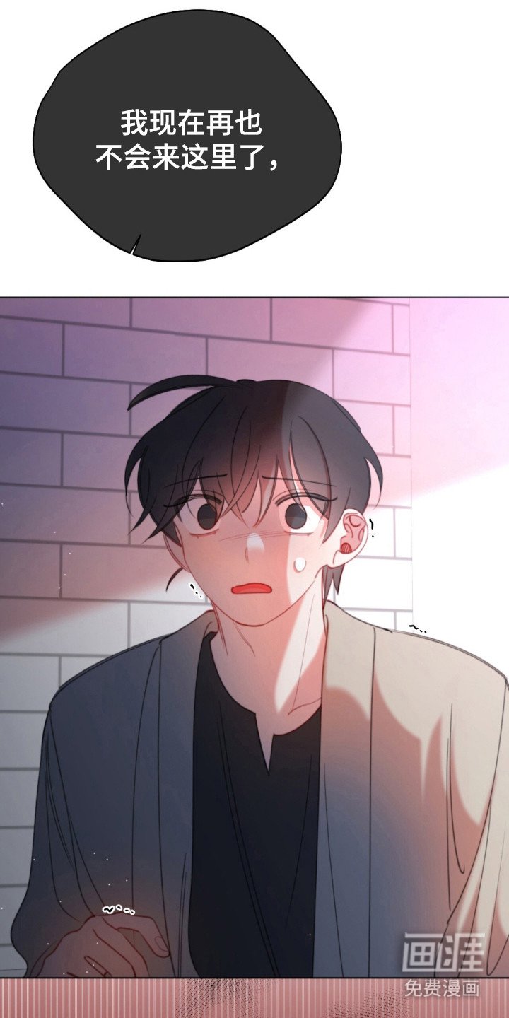 第27章：爱的心意