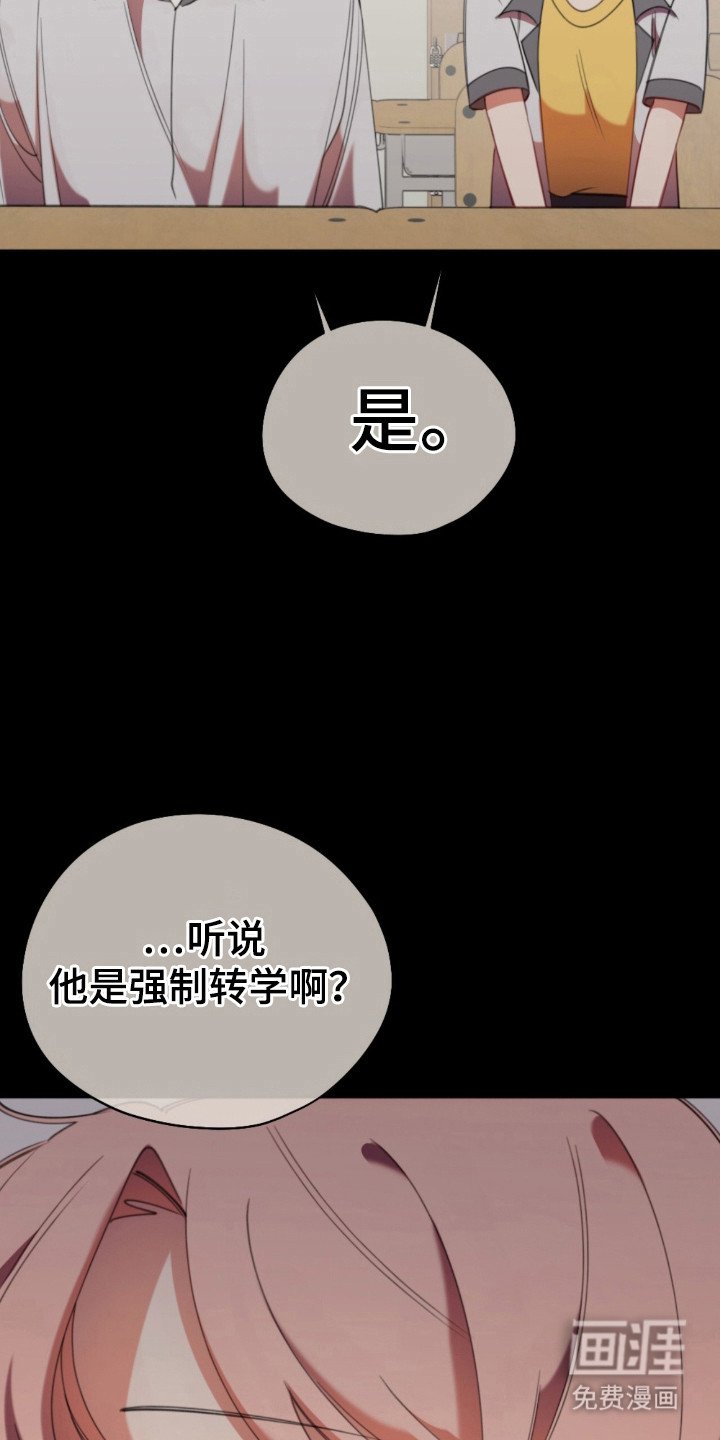第28章：无效传闻