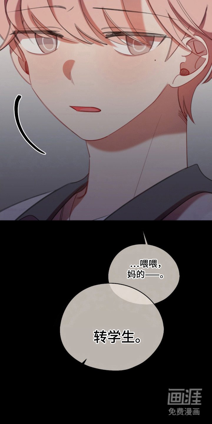 第28章：无效传闻