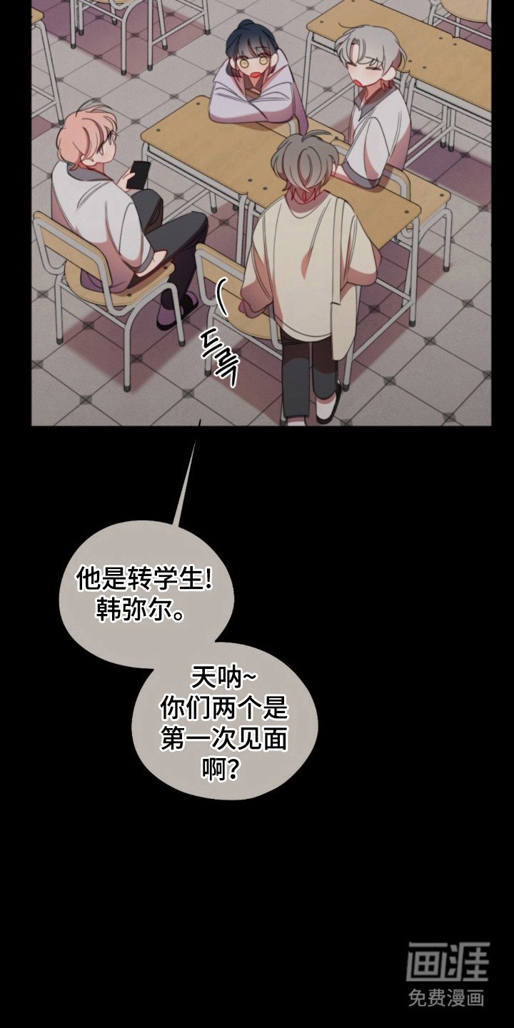 第29章：特殊待遇
