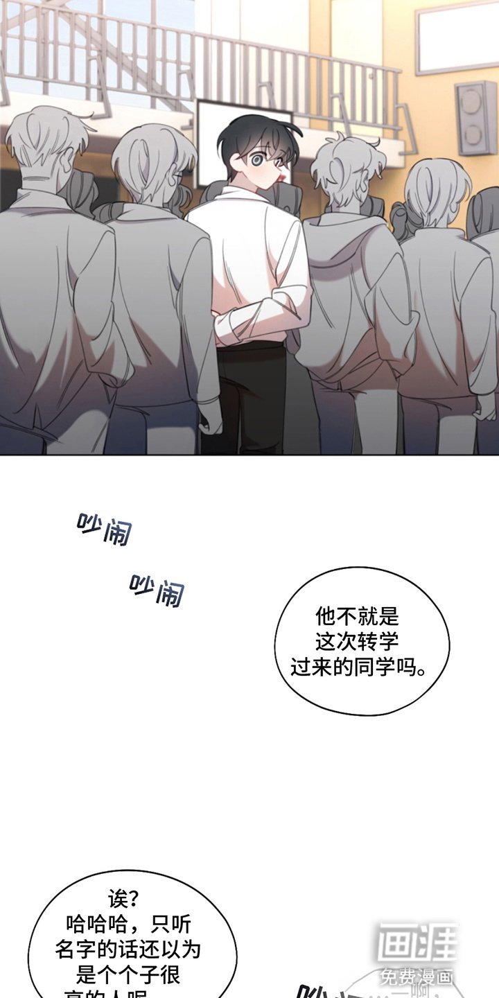 第3章：他的理由