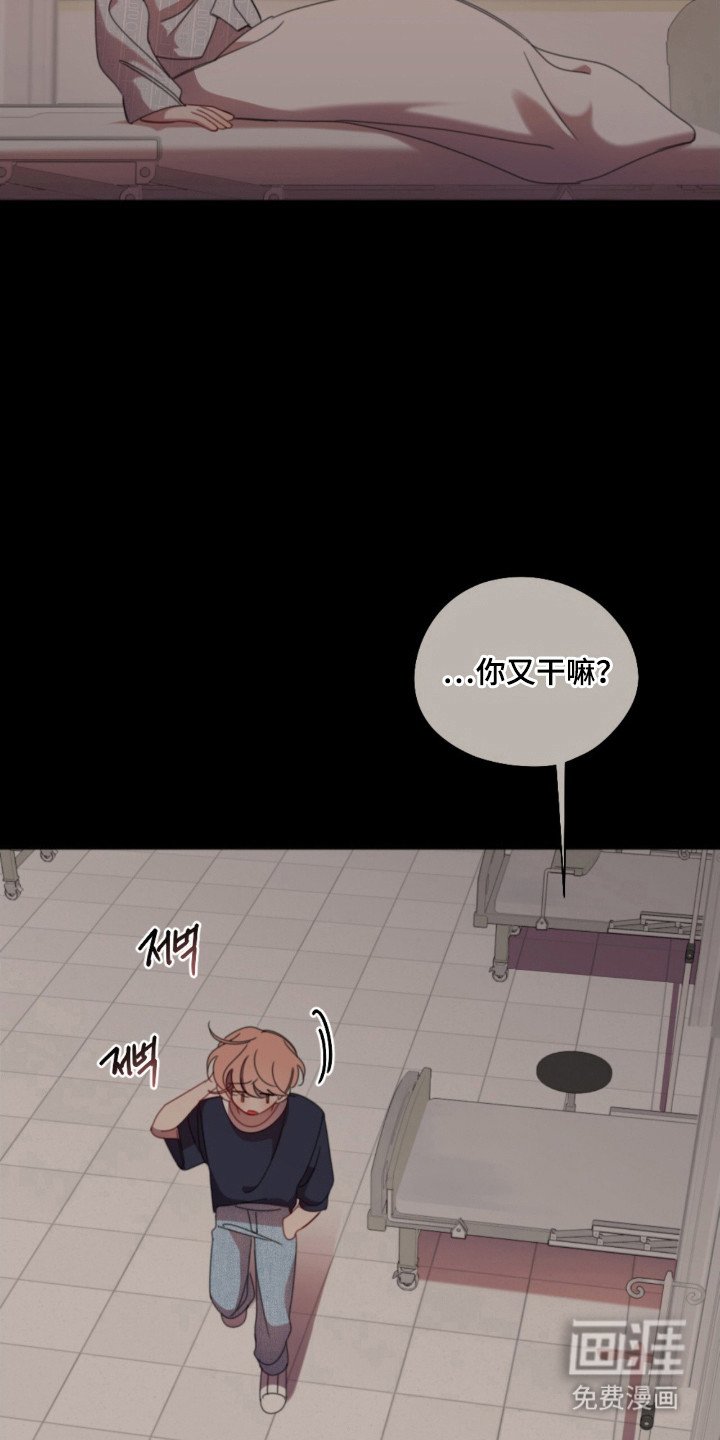 第33章：不被选择