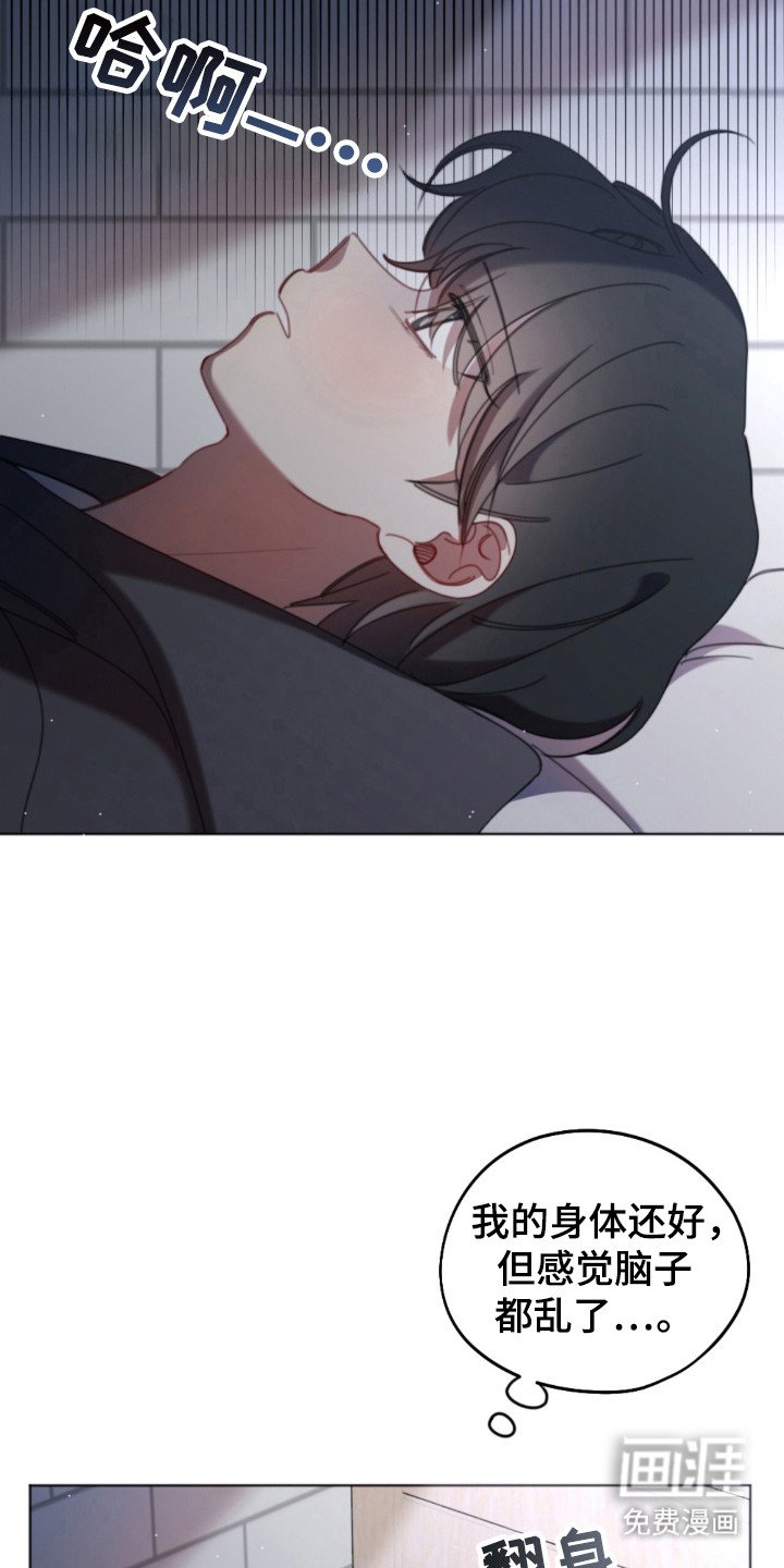 第37章：不用孤独