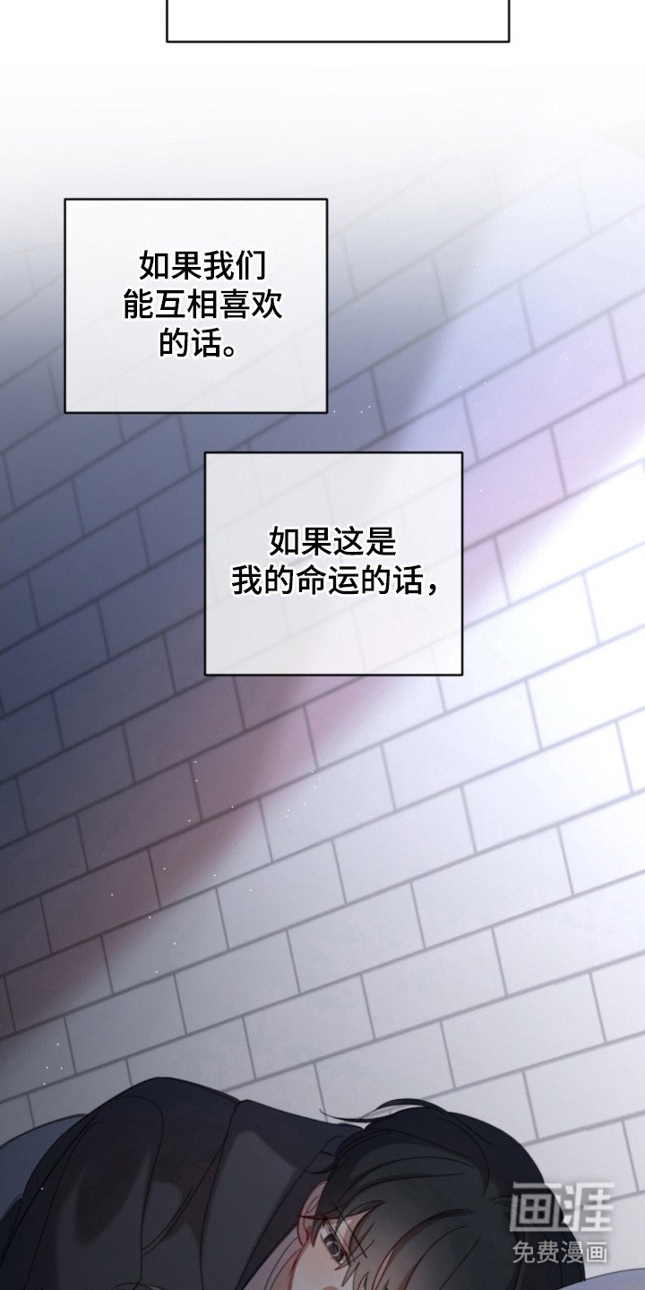 第37章：不用孤独