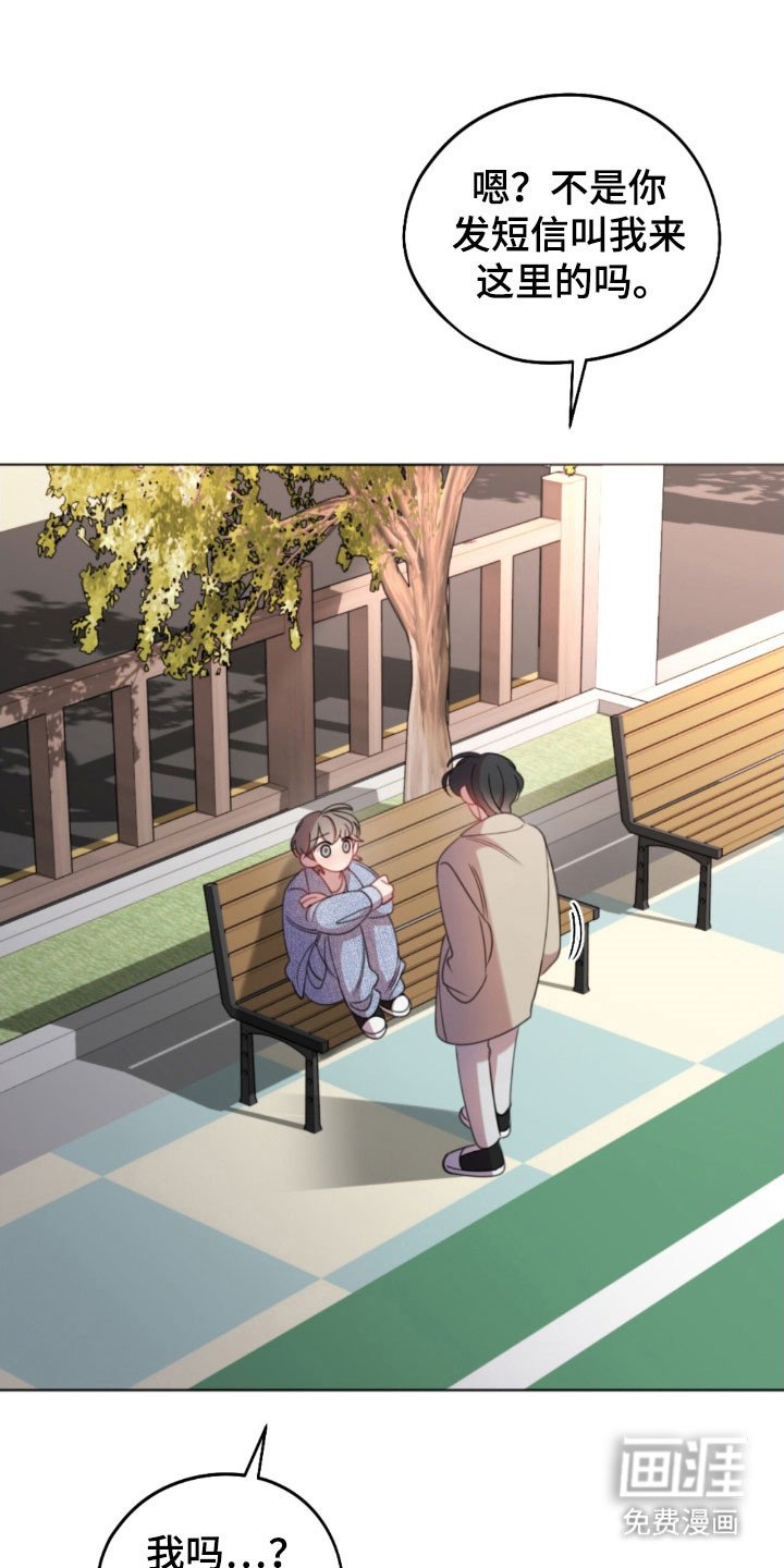 第43章：支持